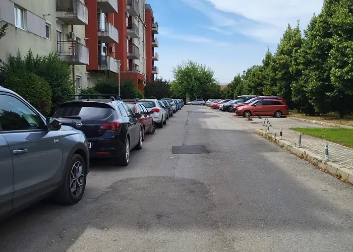 Cu Suflet * Timisoara